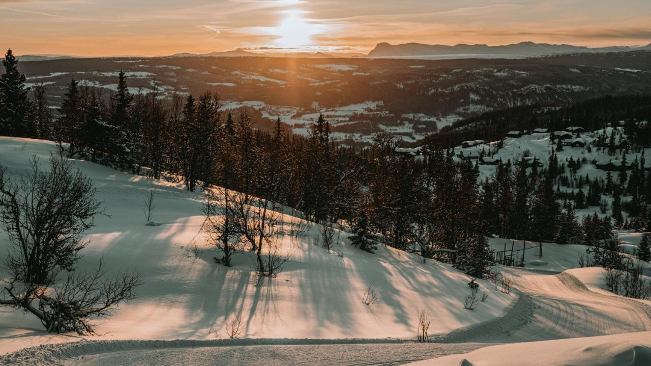 Danebu Kongsgaard - Boutique Hotel Aurdal 外观 照片